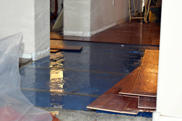 Professional Sewage Cleanup technician working in Stony Brook, NY
